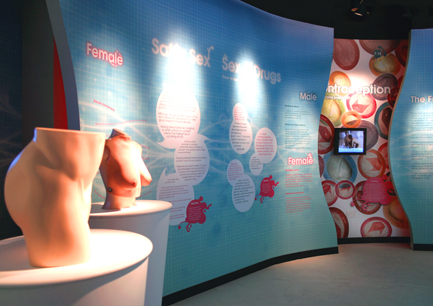 Wellbeing zone - anatomy