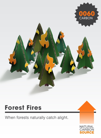 Forest Fires