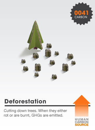 Deforestation
